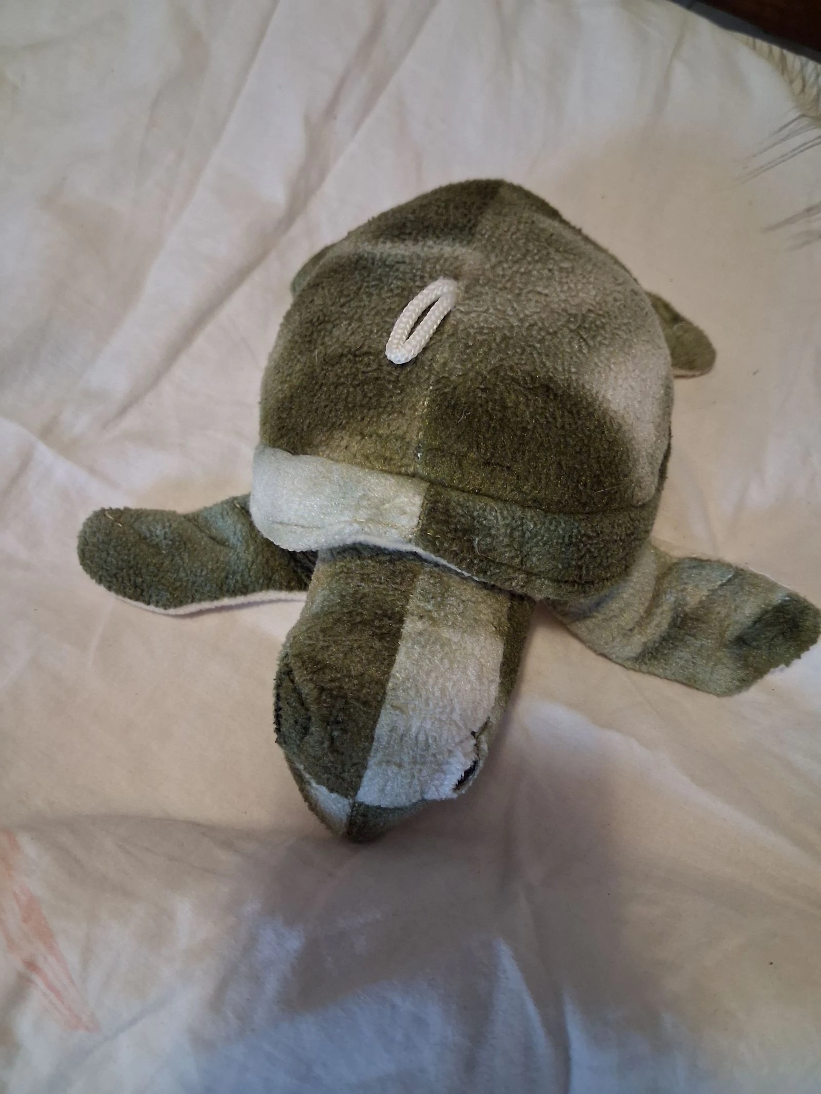 Peluche tortue